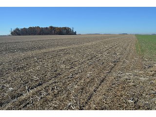 Tract 3 - FARMLAND AUCTION - 165.5+/- ACRES OFFERED IN 5 TRACTS OR COMBINATIONS IN EAST ALLEN COUNTY